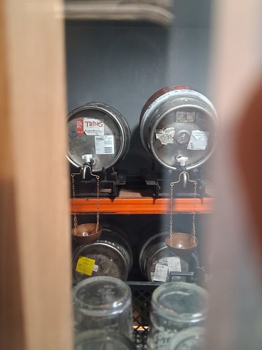 Little Green Dragon 3